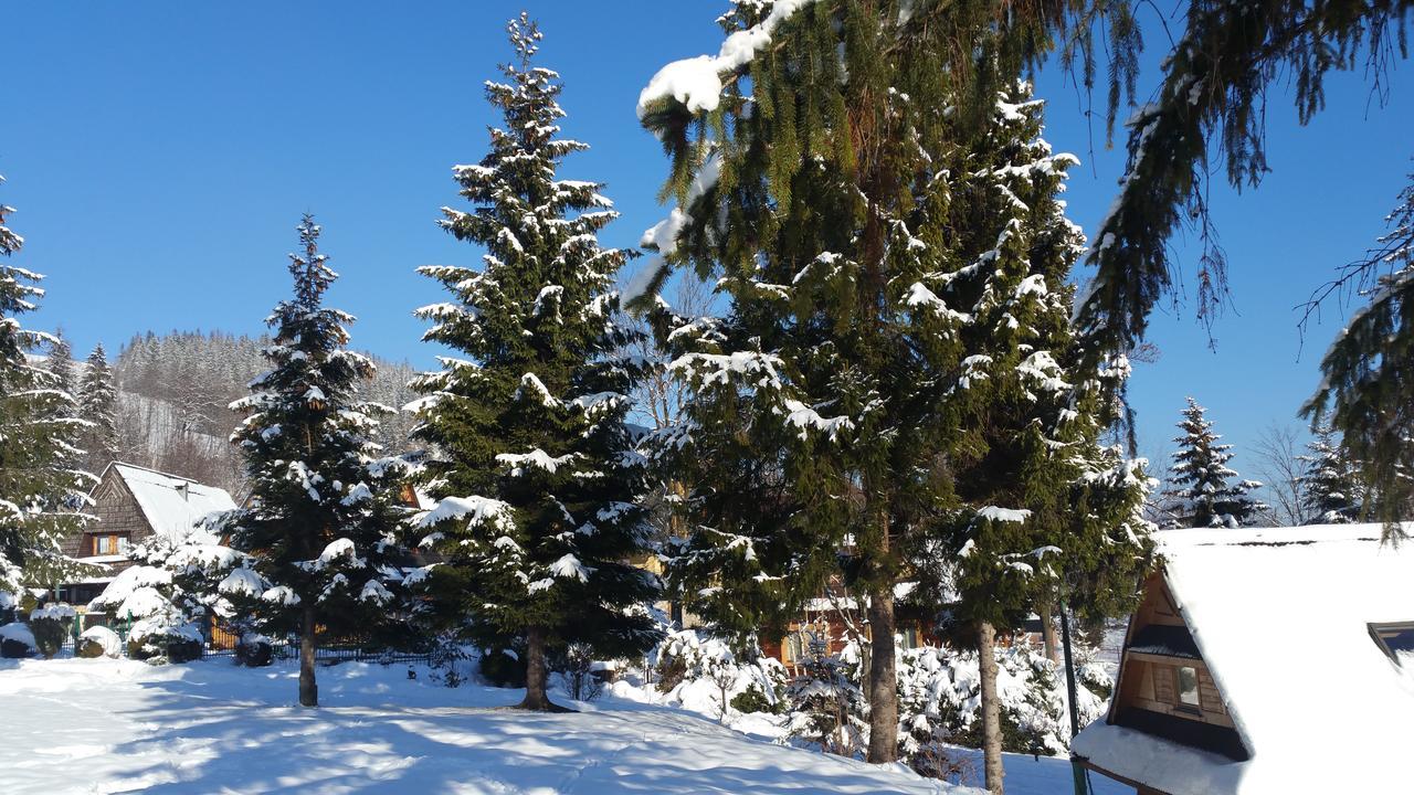 Camping Harenda Pokoje Goscinne I Domki Zakopane Bagian luar foto