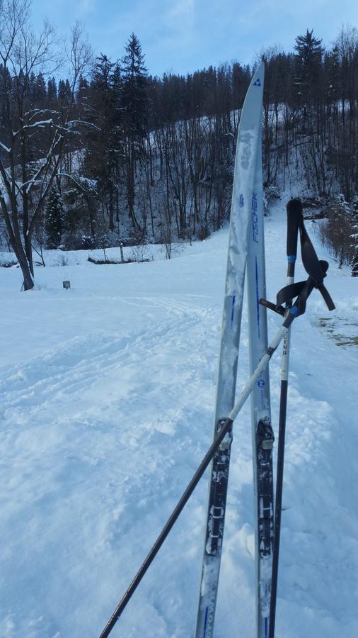 Camping Harenda Pokoje Goscinne I Domki Zakopane Bagian luar foto