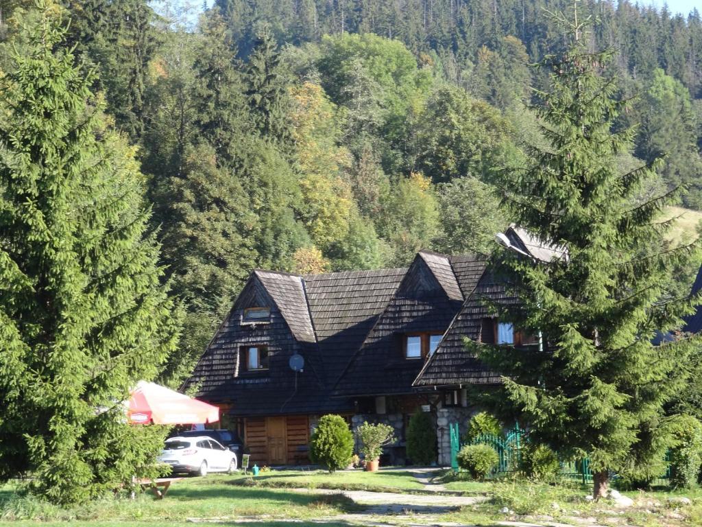 Camping Harenda Pokoje Goscinne I Domki Zakopane Ruang foto