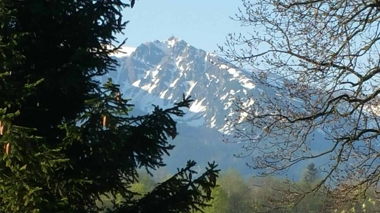 Camping Harenda Pokoje Goscinne I Domki Zakopane Bagian luar foto