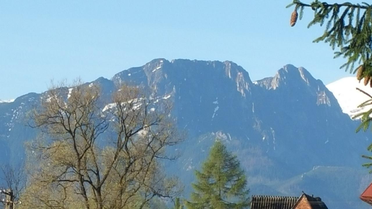 Camping Harenda Pokoje Goscinne I Domki Zakopane Bagian luar foto