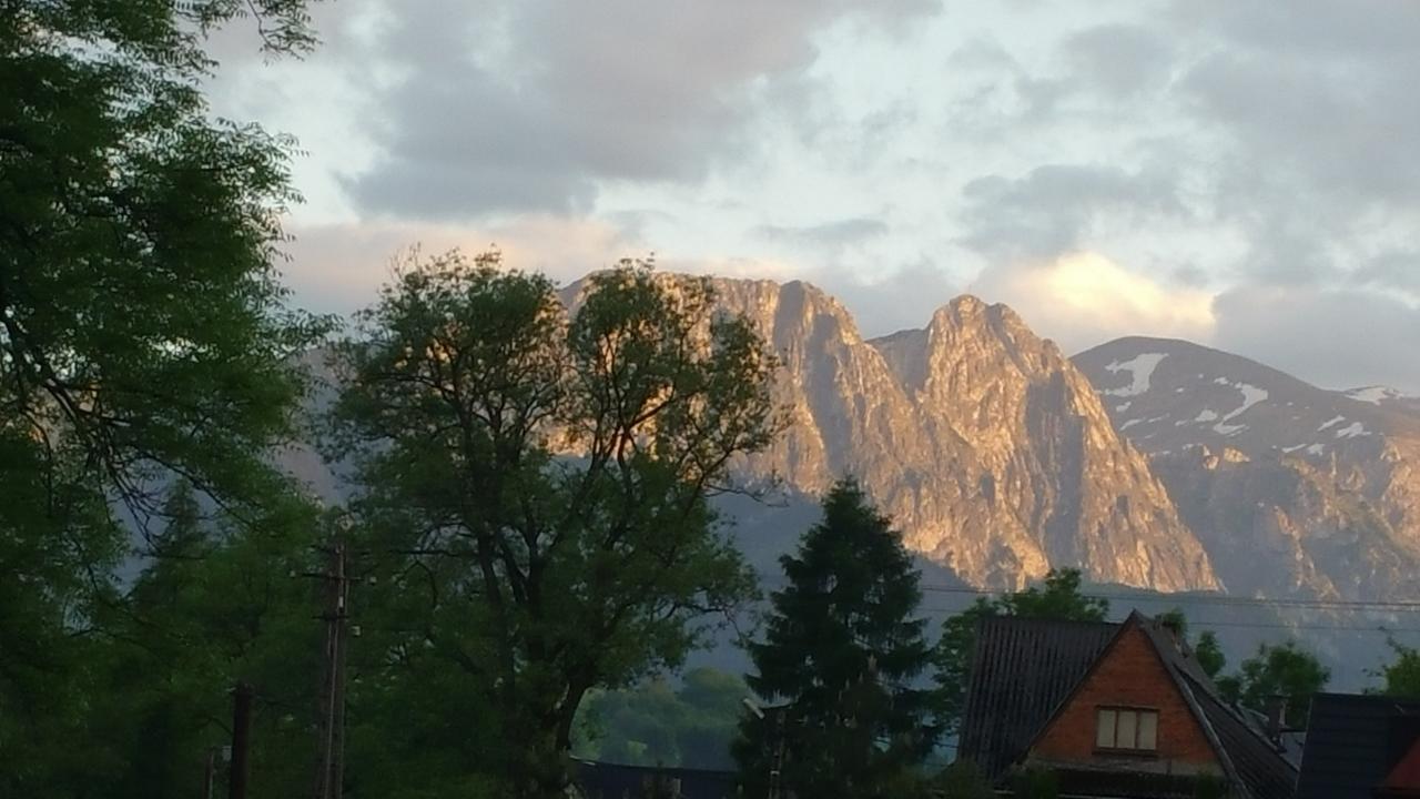 Camping Harenda Pokoje Goscinne I Domki Zakopane Bagian luar foto