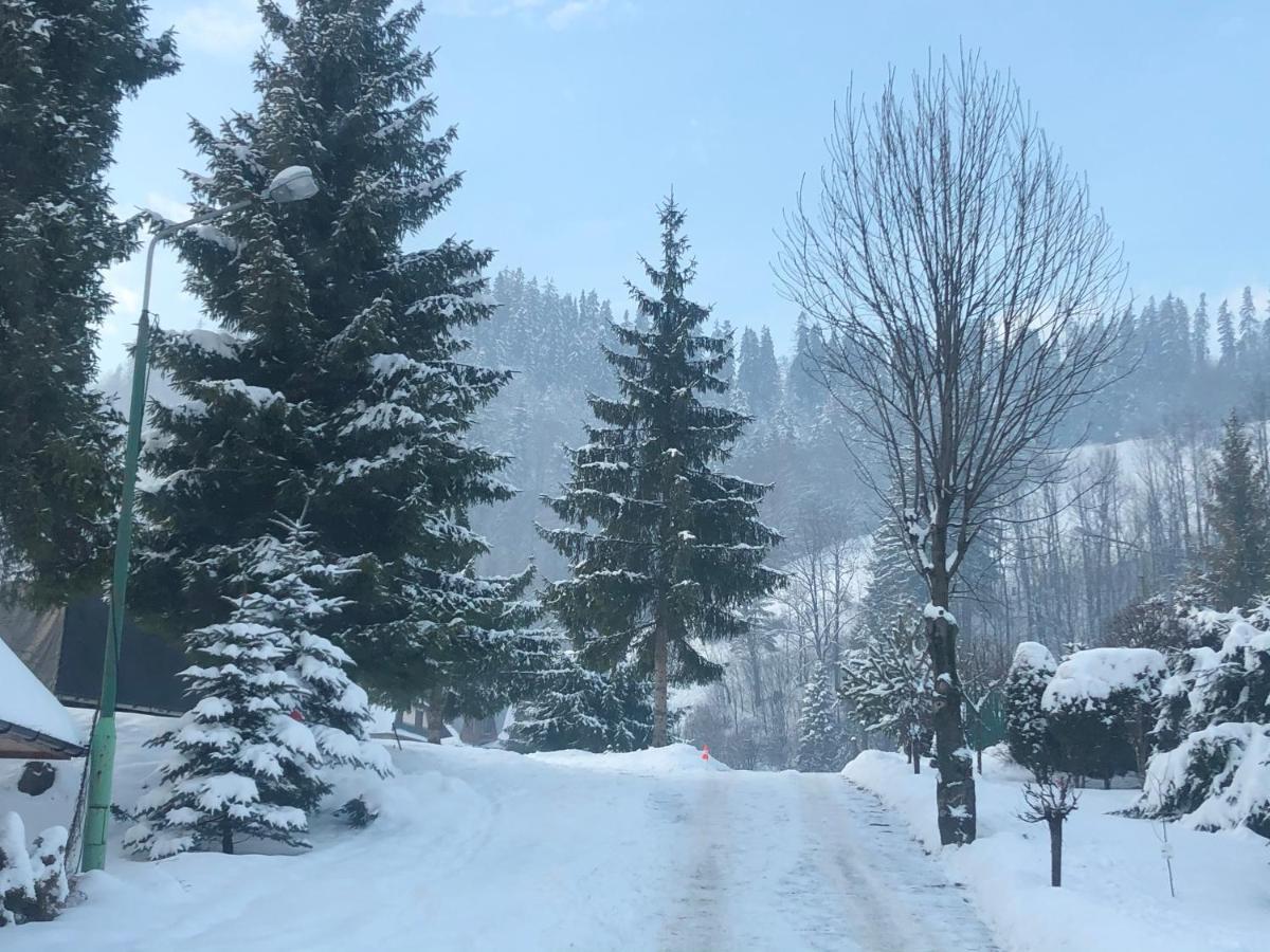 Camping Harenda Pokoje Goscinne I Domki Zakopane Bagian luar foto